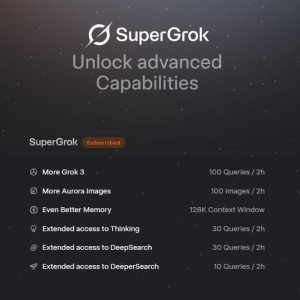 xAI Grok 2 Months