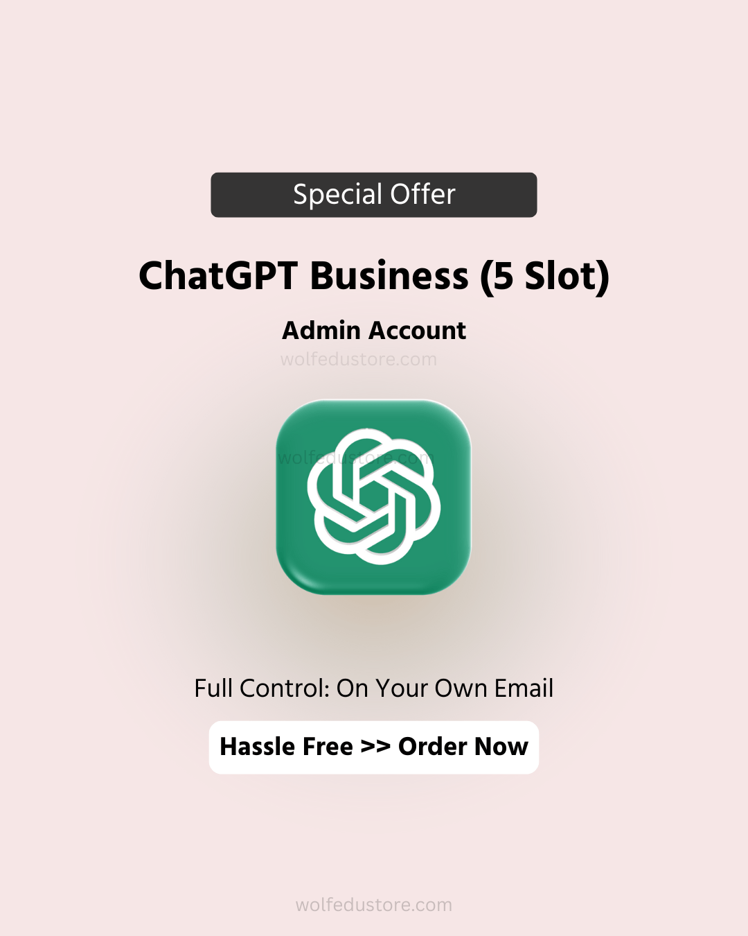 ChatGPT Team Admin (5 Slot)